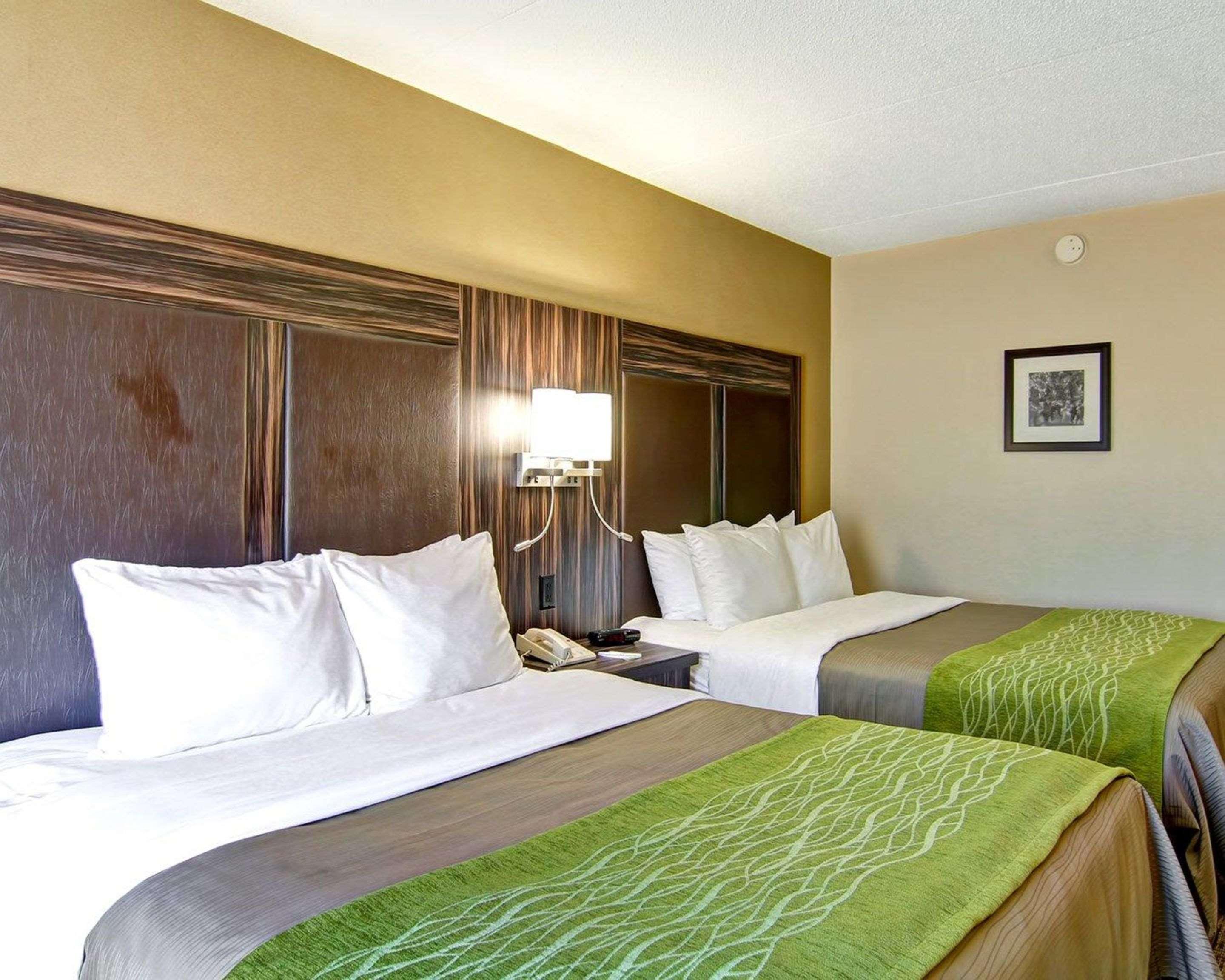 Comfort Inn St. Catharines Niagara Sainte-Catherine Dış mekan fotoğraf