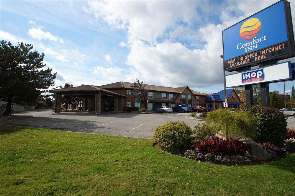 Comfort Inn St. Catharines Niagara Sainte-Catherine Dış mekan fotoğraf