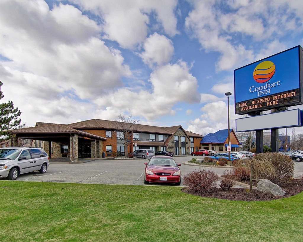 Comfort Inn St. Catharines Niagara Sainte-Catherine Dış mekan fotoğraf